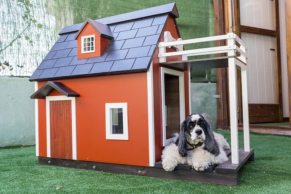 how to kennel train a dog