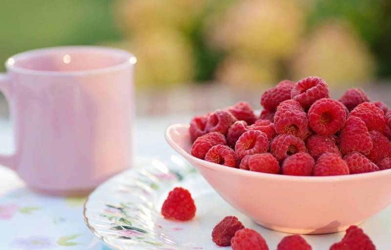 can-dogs-eat-raspberries