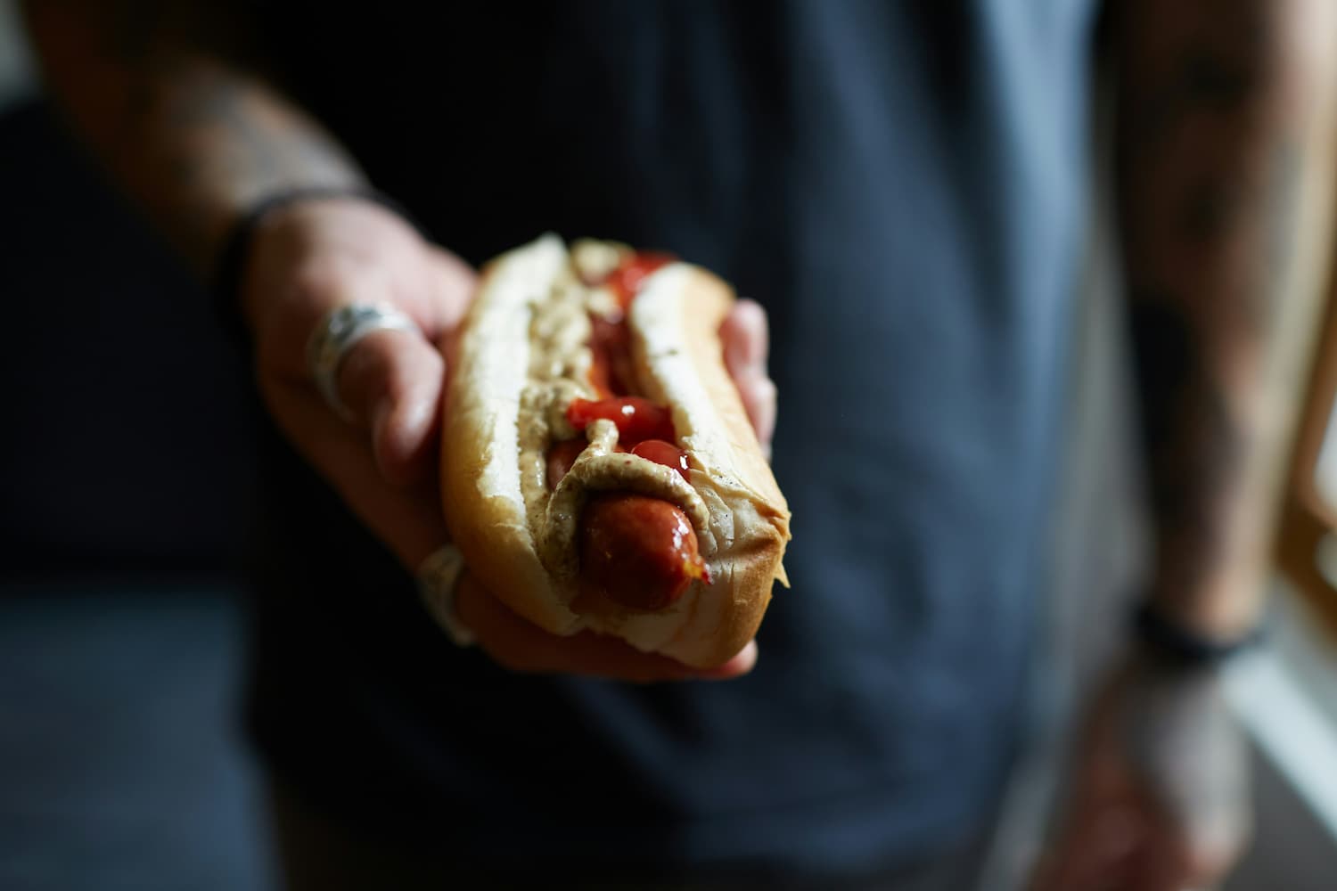 can dogs eat raw hamburger meat