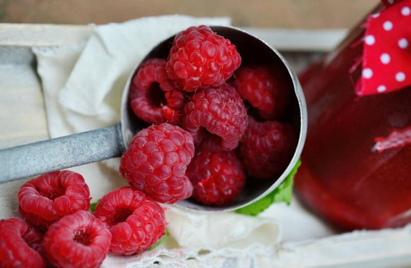 nutrition-in-raspberries